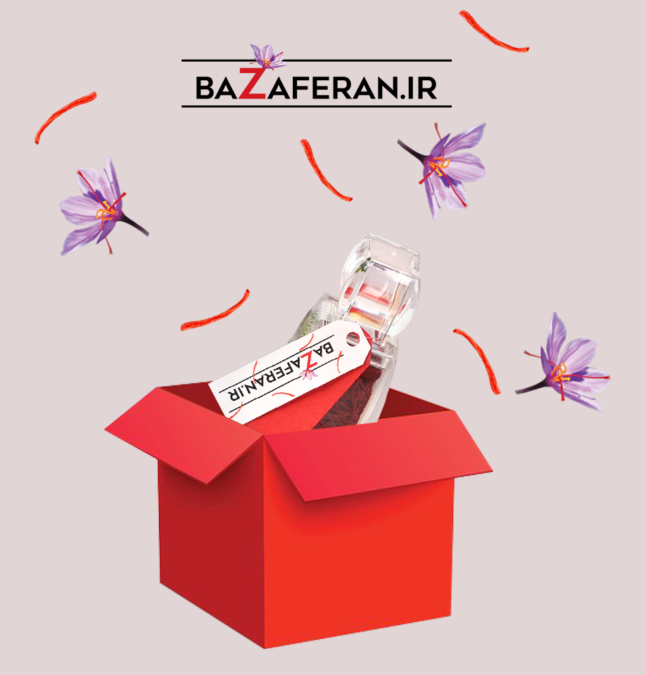 فصل برداشت زعفران در ایران